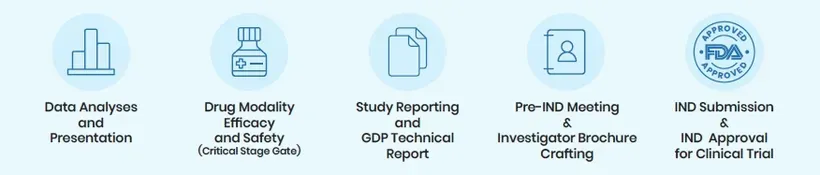 Icon representing Study Reporting and GDP Technical Report.