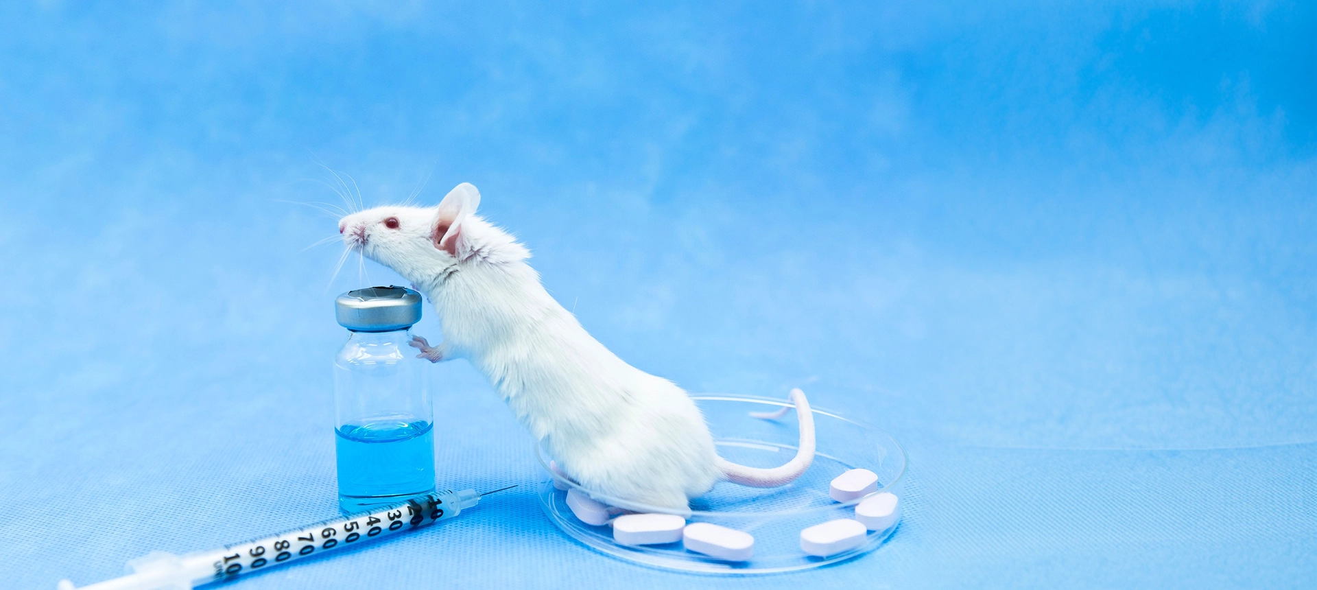 White mouse interacting with a medicine bottle and pills on a blue background.
